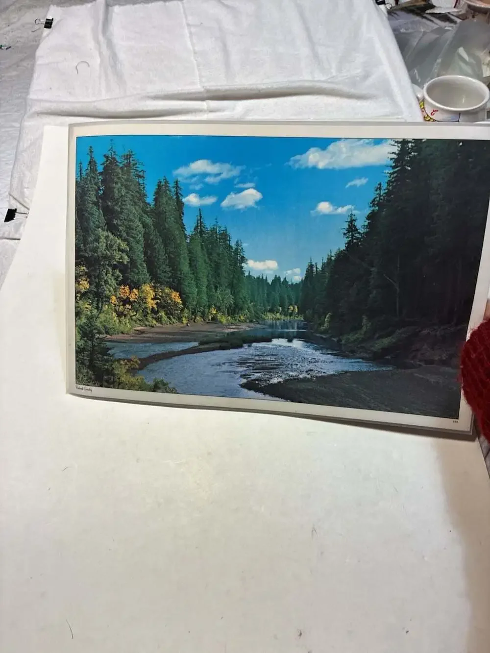 VTG Scenic Place Mat Set of 6Featuring Jasper Avenue 1930 and Spirit Lake